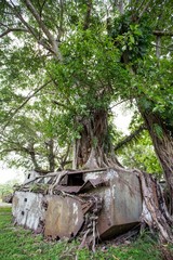 american landing craft overgrown jungle solomon islands