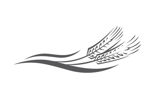 monochrome illustration of ears of wheat logo