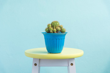 cactus in pot on vintage yellow chair © kwanchaift