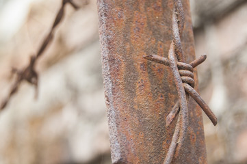 Wallpaper macro Rusty Barbed wire right position