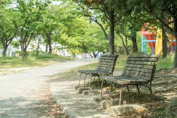 新緑の公園のベンチ