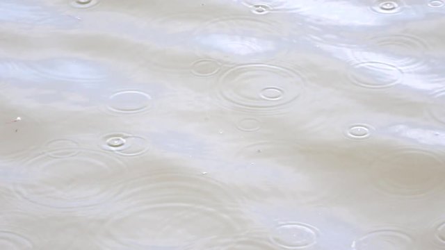Rain drops are falling on water level and create many drops circles. Small waves passing, water level in many shadows moving with sparkles and light reflections 