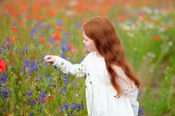 Cute little child girl with red head holding a flower outdoors in poppy field. Selective focus