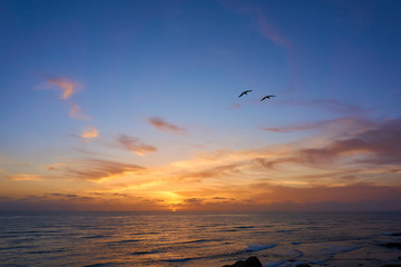 Fototapeta na wymiar zwei Vögel fliegen vor dem malerischen Sonnenuntergang am Meer, Pazifik, San Diego, Amerika