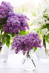 Three bouquets of lilac in round transparent vases near window