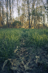 Pathway