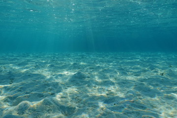 Underwater shallow sandy ocean floor with sunlight through water surface, natural scene, lagoon of...