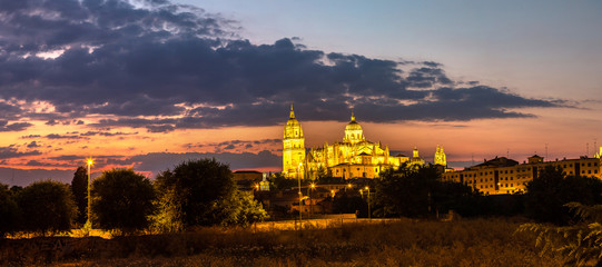 Obraz na płótnie Canvas Cathedral in Salamanca