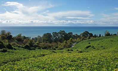 The harmony of the three elements: earth, water and air