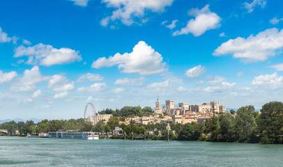 Fototapeta premium Popes Palace and Rhone river in Avignon