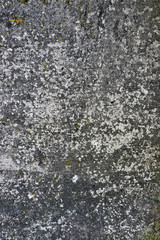 Cracked concrete texture closeup background