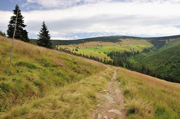 Path to the top, Giant mountains, Czech republic, August 2012