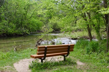 The empty park bench by the creeks in the forest.