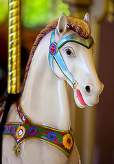 colorful riding horse
