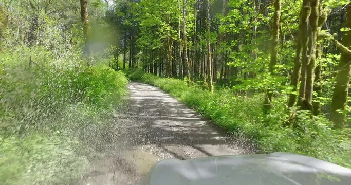 SUV POV Off Road Forest Road Driving Through Puddles Spraying Muddy Water - Dirty Car Concept