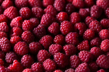 Ripe raspberry background