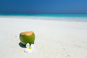 Fototapeta na wymiar Fresh coconut juice decorated tropical plumeria flower