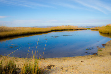 Marsh inlet to the ocean at the Jersey Shore