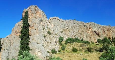 Mountains landscape in summer
