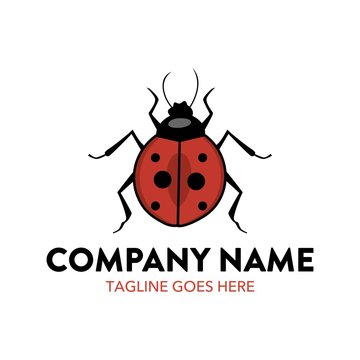 Unique Ladybug Logo Template