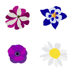 Set of colored flowers on a white background, Vector illustration