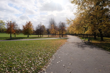 Fototapeta premium 1