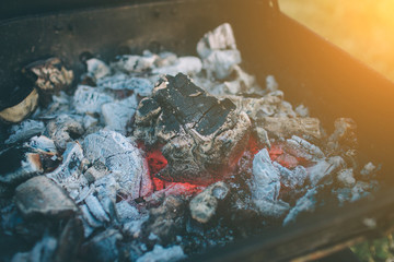 Friends making barbecue and having lunch in the nature. Couple having fun while eating and drinking at a pic-nic - Happy people at bbq party