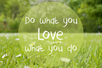 Gras Meadow, Daisy Flowers, Quote Do What You Love