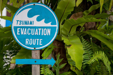 Tsunami evacuation route sign in Thailand