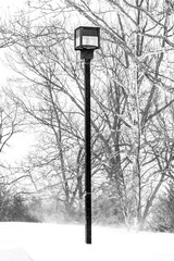 Lamppost on winter