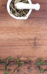 Natural green and dried mint with white mortar, healthy lifestyle, copy space for text on board