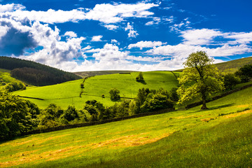 Naklejka premium Scenic view English countryside on springtime in Forest of Bowland, Lancashire, England UK