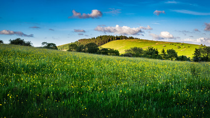 Meadows and hill on springtime in Forest of Bowland, blue sky and clouds on afternoon sunlight Lancashire, England UK