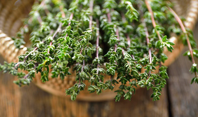 Thyme herb in basket on wooden table.