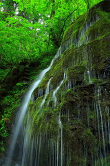 夏の滝ノ沢