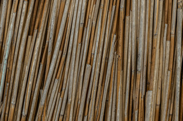 Pile of dry cane