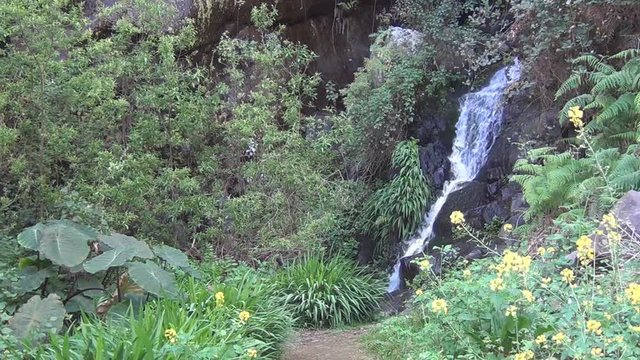 Water runs down small waterfall in La Gomera