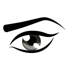 Womans eye and eyebrown icon over white background  colorful design vector illustration