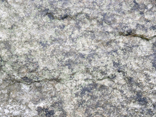 gray rough  wall Concrete background