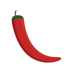 red chili icon over white background colorful design vector illustration