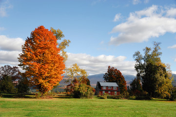 autumn village house in New England town with bright color in sunny day