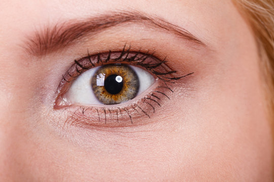 Detailed closeup of woman colorful eye