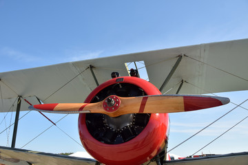 Old biplane front view © icholakov