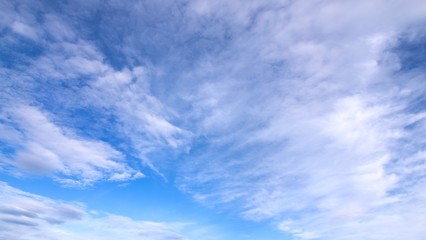 Fototapeta premium Chmura