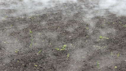 太陽光で湯気が立ち上る畑
