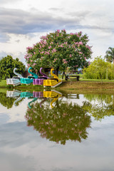 reflective pedal boats