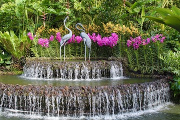 Giardino delle Orchidee, Singapore