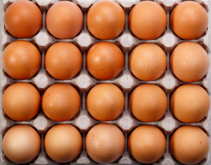 Pack of twenty brown chicken eggs in cardboard container. Top view