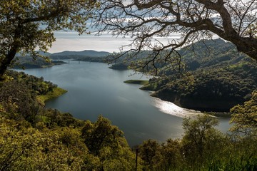 Lake at sunset with tree lined coast