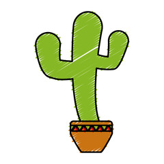 cactus in a pot icon over white background vector illustration